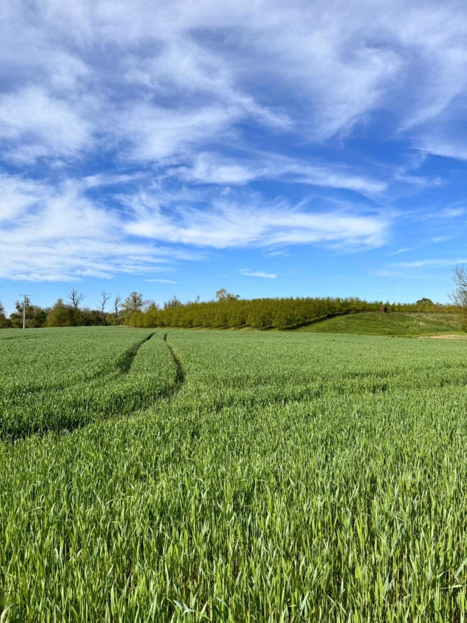 Am Flussgarten Eriskirch Buitenkant foto