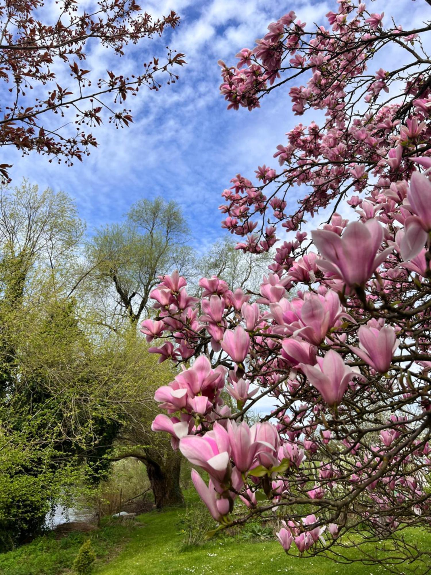 Am Flussgarten Eriskirch Buitenkant foto