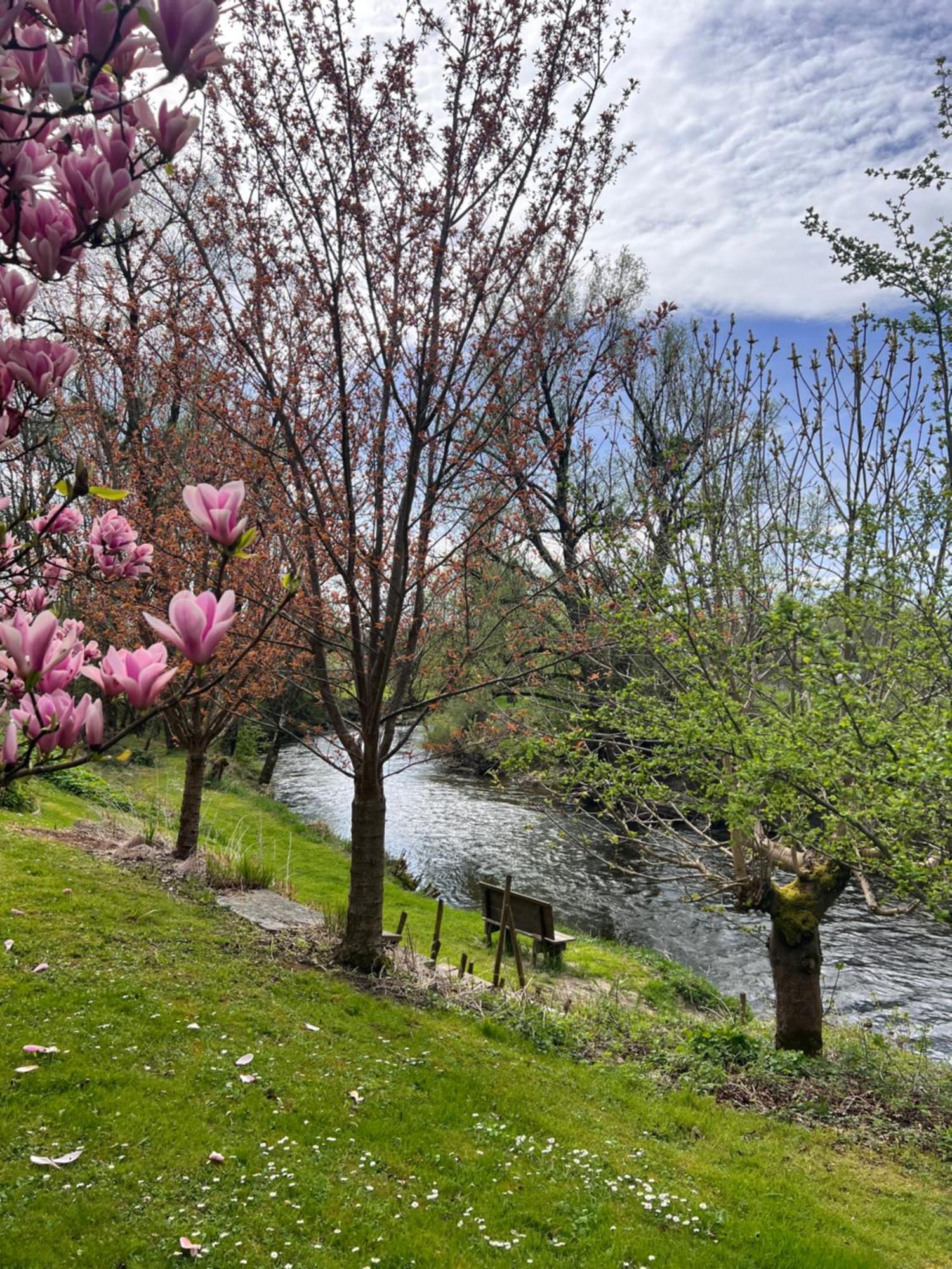 Am Flussgarten Eriskirch Buitenkant foto