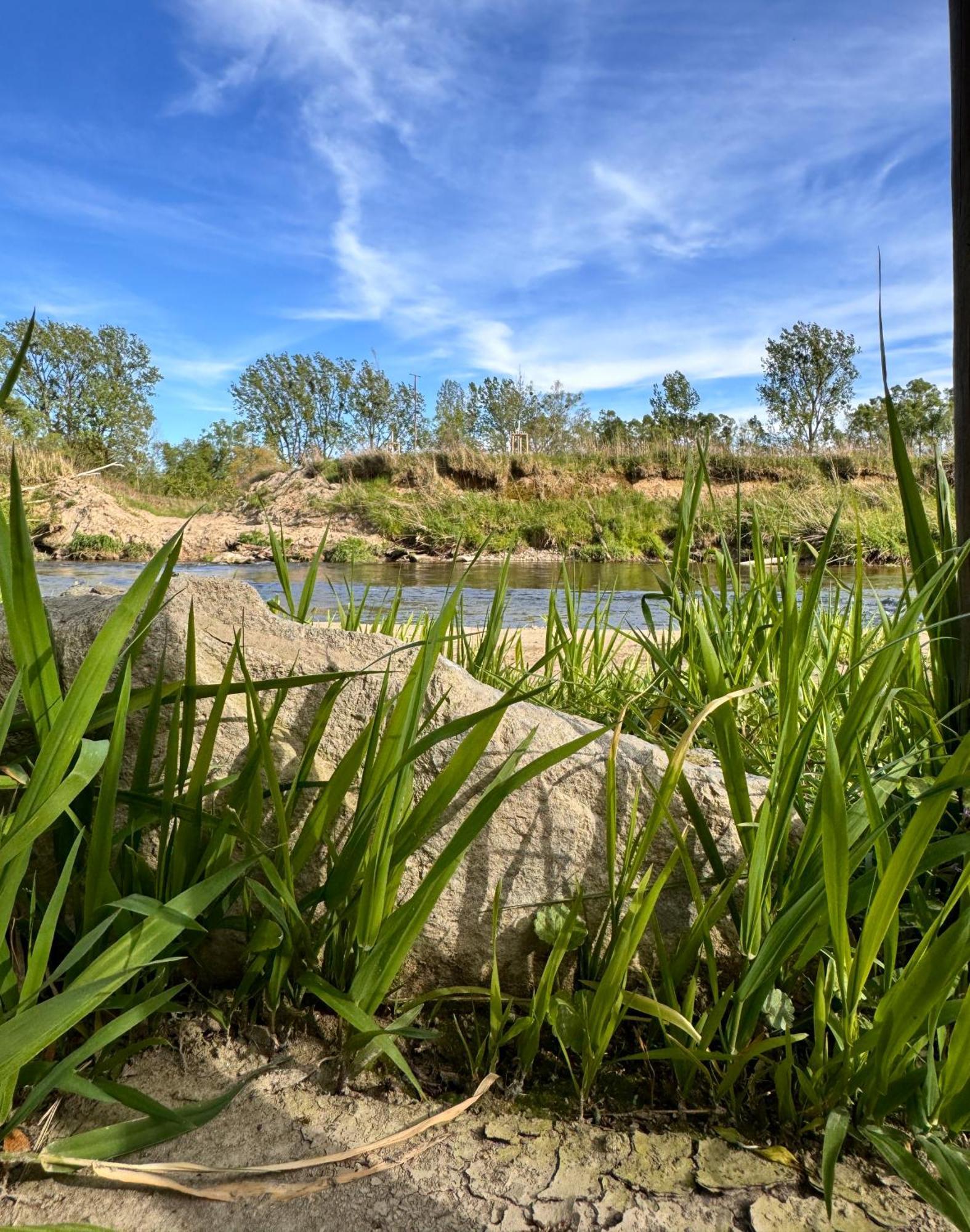 Am Flussgarten Eriskirch Buitenkant foto