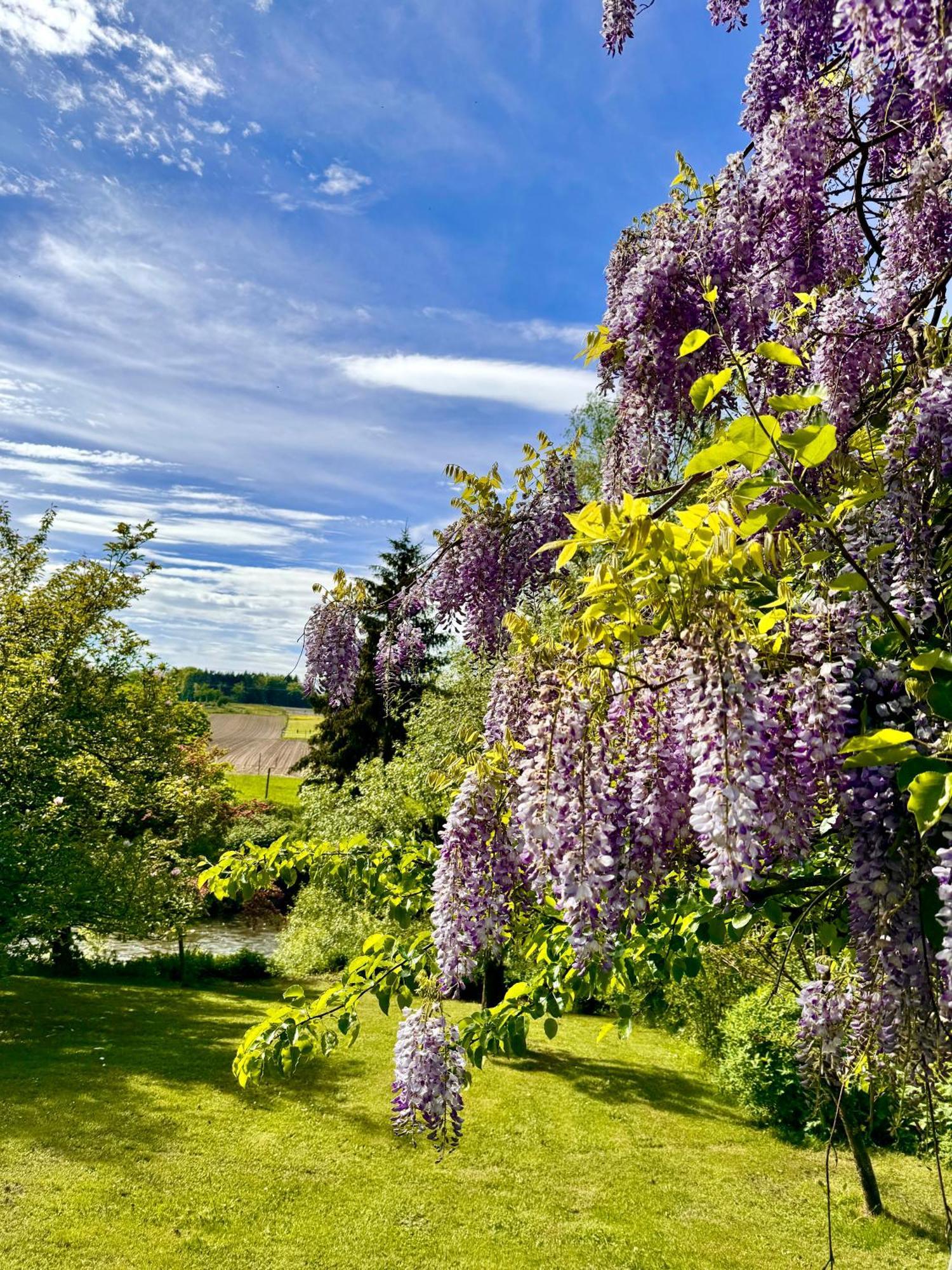 Am Flussgarten Eriskirch Buitenkant foto